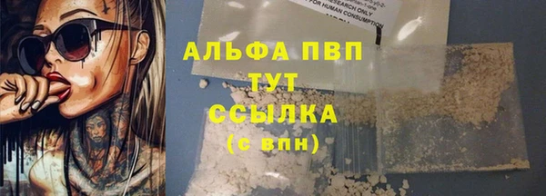 ГАЛЛЮЦИНОГЕННЫЕ ГРИБЫ Горно-Алтайск