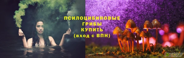 ГАЛЛЮЦИНОГЕННЫЕ ГРИБЫ Горно-Алтайск