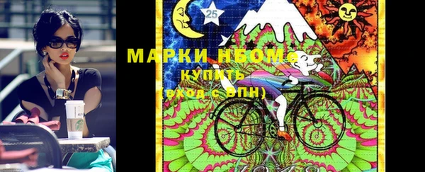 ГАЛЛЮЦИНОГЕННЫЕ ГРИБЫ Горно-Алтайск