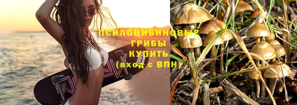 марки lsd Горнозаводск