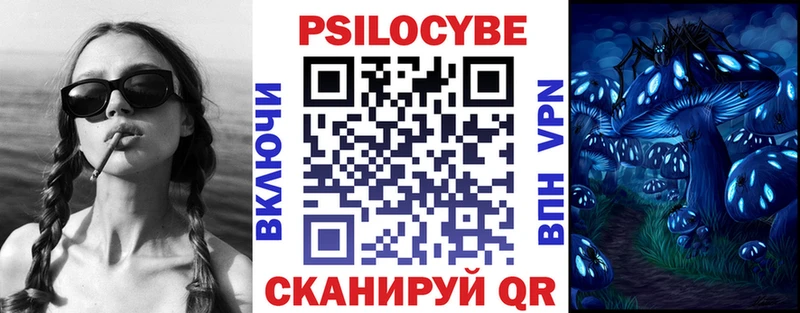 Купить  Николаевск  Галлюциногенные грибы Psilocybe 